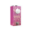 Big Bang Booster