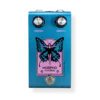 Morpho Chorus