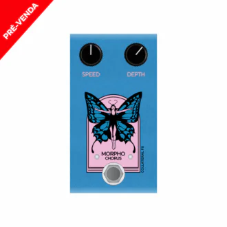 morpho chorus frente