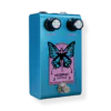Morpho Chorus