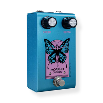 Morpho Chorus